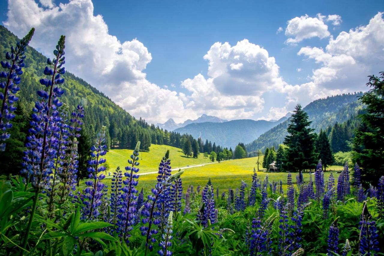 Apartamento Hisa Grilc Kranjska Gora Exterior foto